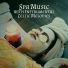 Celtic Chillout Relaxation Academy