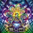 Sufi (2)