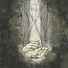 forestdump