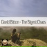 David Bitton