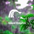 Silent Knights