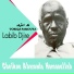 Labib Djire
