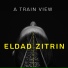 Eldad Zitrin