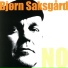 Bjørn Saksgård