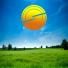 Sunlight Project