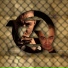 ШYNGYS feat. Damon