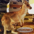 Superchunk