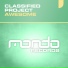 Classified Project