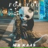 Mr Kaas