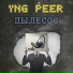 Yng PEER