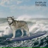 Dysplay