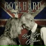 Gotthard