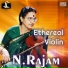Dr. N. Rajam, Anand Gopal Bandopadhyay