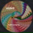 Audit