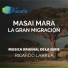 Ricardo Larrea