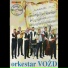 Orkestar Vozd