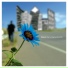 Blusom