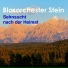 Blasorchester Stein