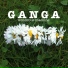 Ganga- Wondrous Machine (2014)