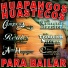 Huapangos Huastecos