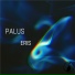 Palus
