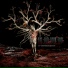 The Old Dead Tree