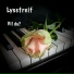 Lysstreif feat. Elen Catherine Hopen Furunes