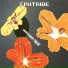 Finitribe