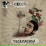Cecco Signa