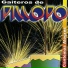 Gaiteros de Pillopo