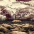 Tim Maier, Daren