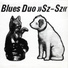 Blues Duo