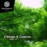 Trilingo & Cosimo