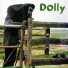 Dolly