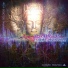Cosmic Brahma Vs Chakraview