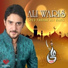 Syed Farhan Ali Waris