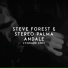 Steve Forest, Stereo Palma