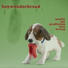 boywonderbread