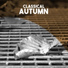 Mayfair Philharmonic Orchestra