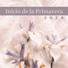 Meditación Interna