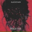 BLACKSTAKES
