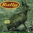 Rally