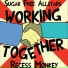 Sugar Free Allstars, Recess Monkey