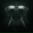Codex