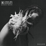 Kalash Damso (Mwaka Moon)