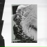 Mura Masa feat. Moses Boyd