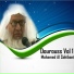 Mohamed Al Sahibani