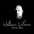 Nelson Viana