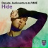 Darude, Audioventura, JVMIE