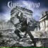 Curt Shaw